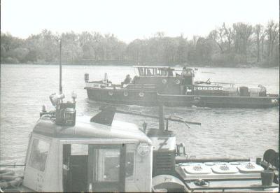 H.M. Delfin i H.M. San