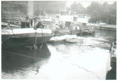 Koziorożec B-02 i B-03