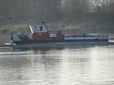 Orka 2