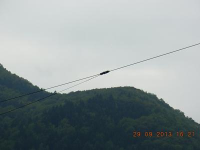 Dunaj  Austria