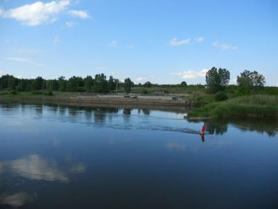 Rzeka Odra