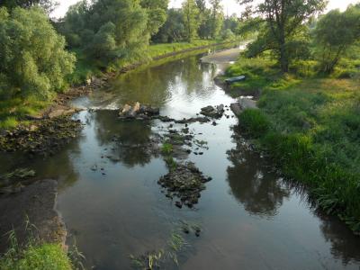 Ujście Baryczy 378 km Odry