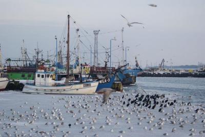 Port we Władysławowie, 21 luty 2010