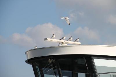 Przedwiośnie nad Jeziorem Bodeńskim