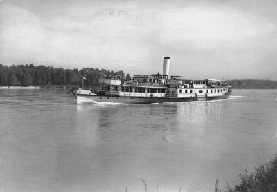 Na Dunaju, rok 1956