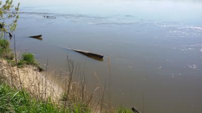 Płynie Wisła , płynie...