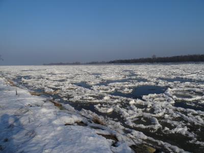 Wisła