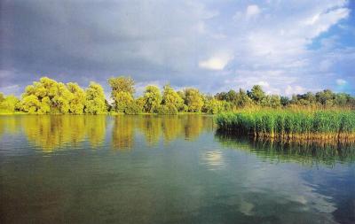 Nadgoplański Park Tysiąclecia