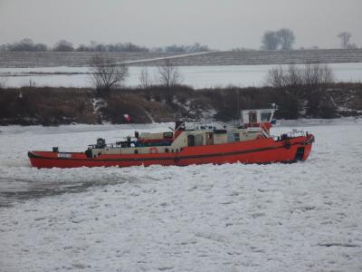 AKCJA LODOŁAMANIA NA rz. WISŁA w okolicy TCZEWA