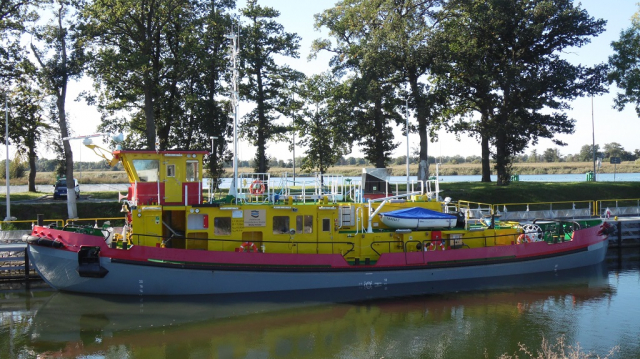 Lodolamacz liniowy MANAT