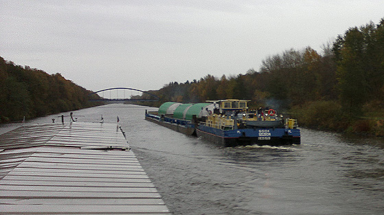 Tezom WWF-u na przekór