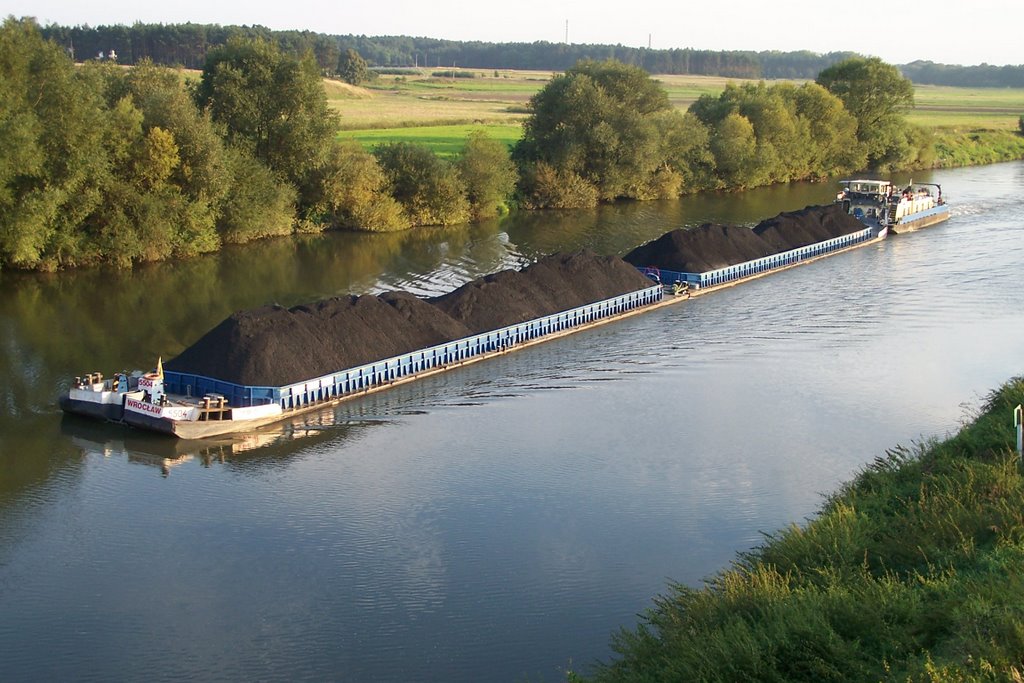 Dorota Pyć: Odra ożyje dla masowego transportu