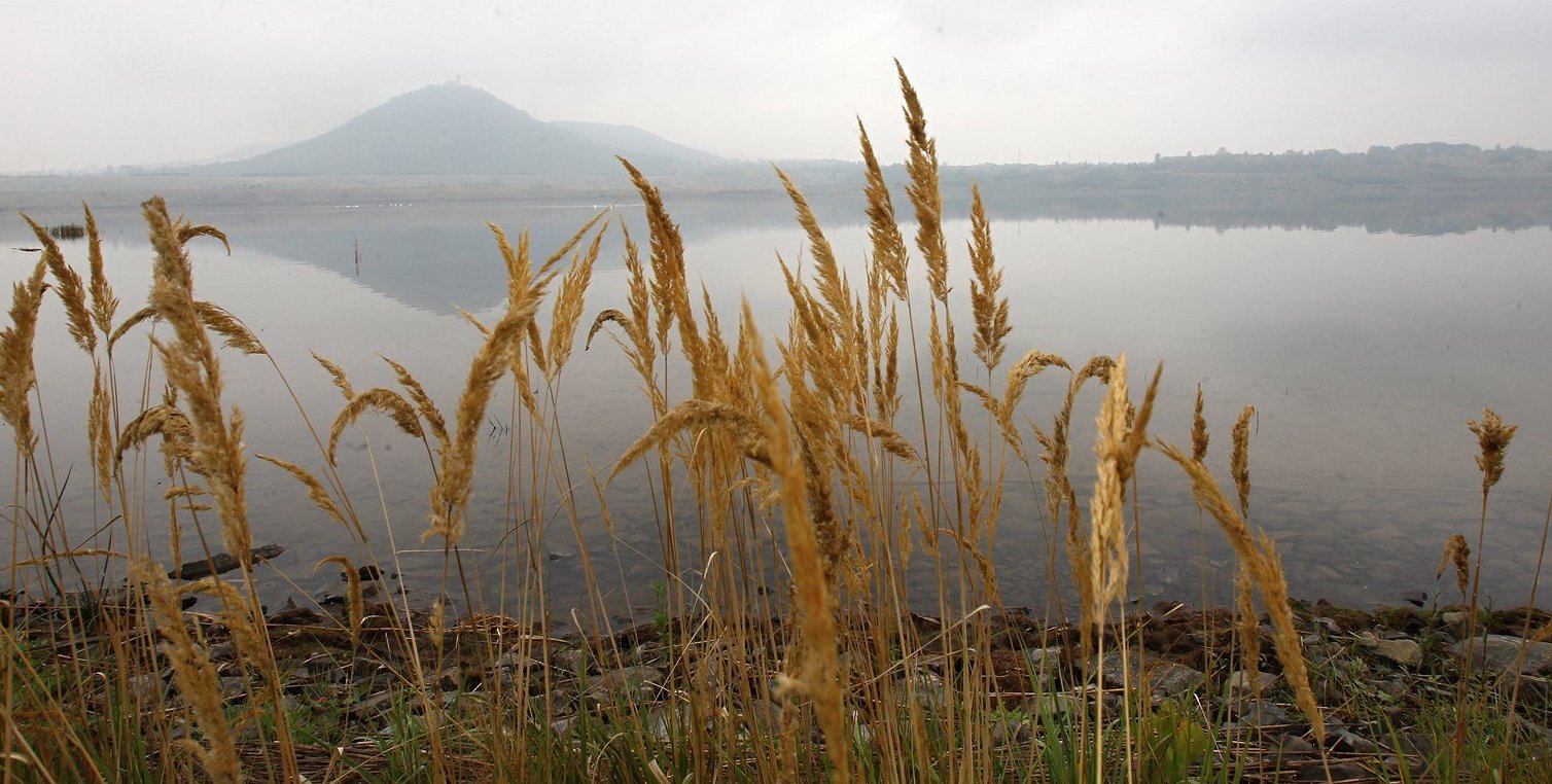 Największe jezioro i kanał do Polski. Minister transportu Czech Karel  Havlíček chce wskrzesić żeglugę