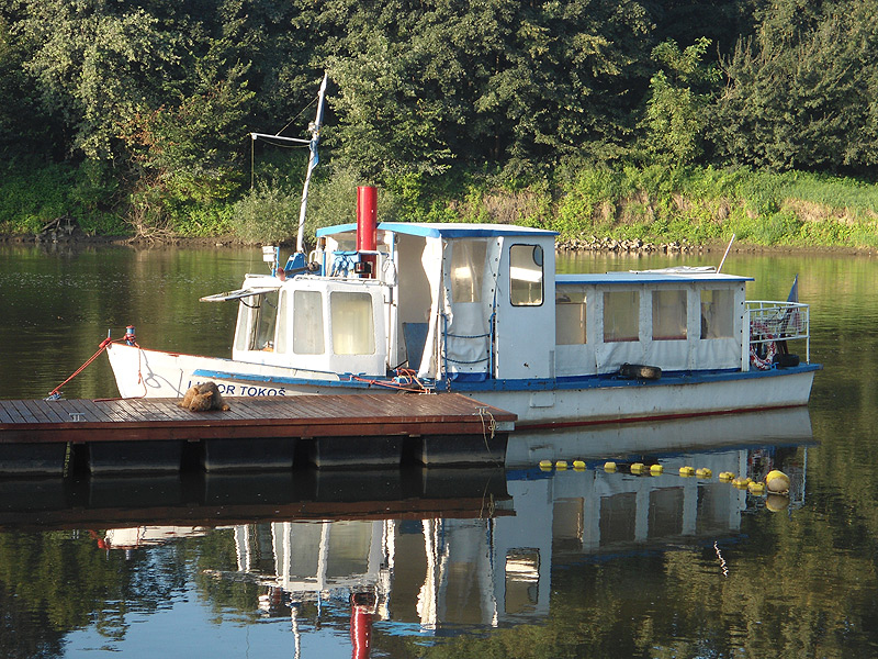 Czesi na polskiej Odrze