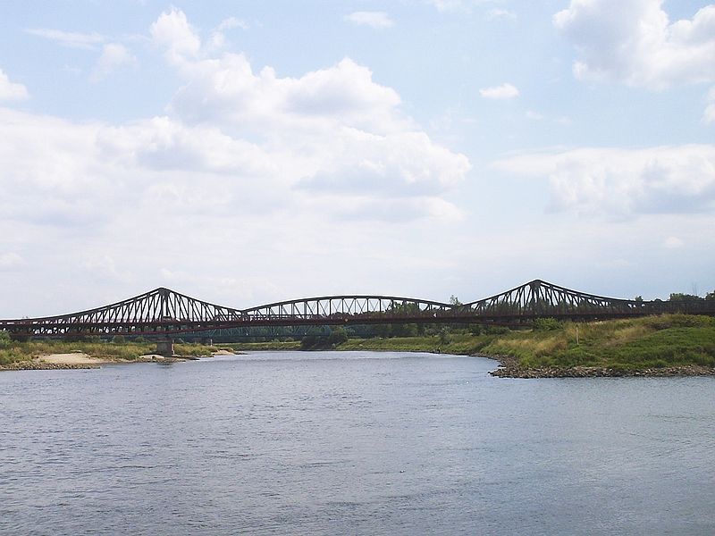 Ścinawa i Lubiąż - projekty w tym roku