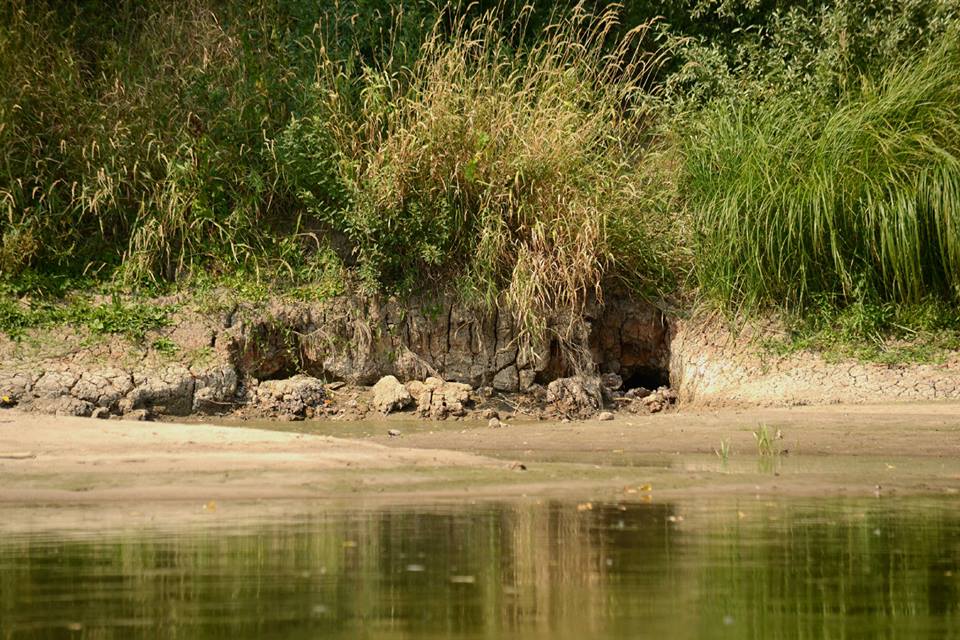 Prof. Majewski: Zdegradowana rzeka przynosi jedynie straty