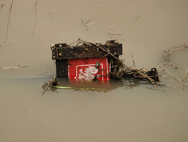 Czy Polska jest gotowa na 