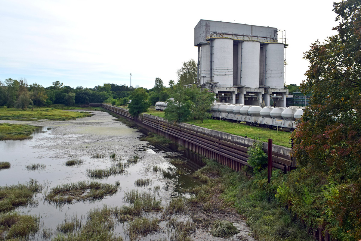 Projekt stopnia wodnego Ścinawa na Odrze