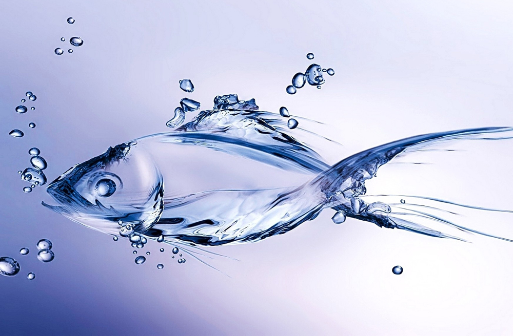 Prawo wodne odroczone