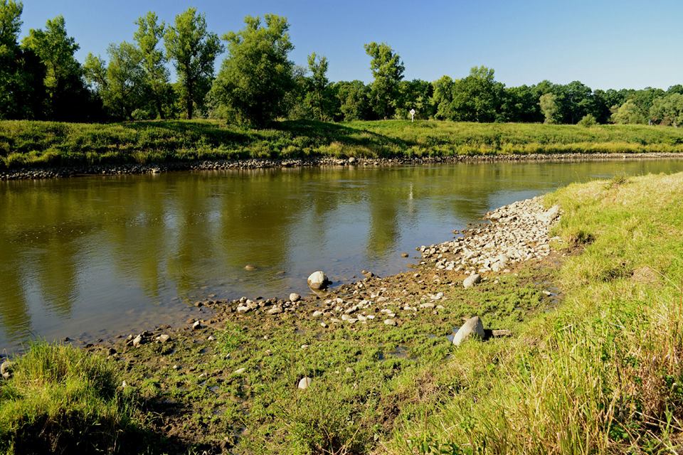 Sum zawsze wypłynie...