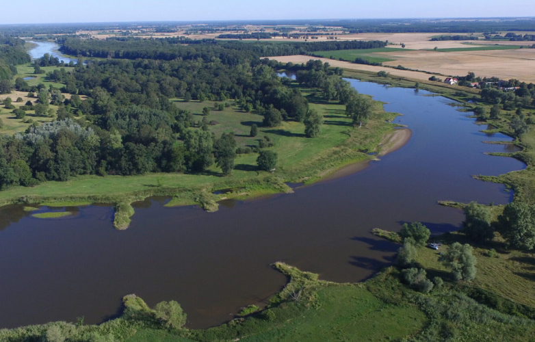 Stopnie wodne czy zabudowa regulacyjna