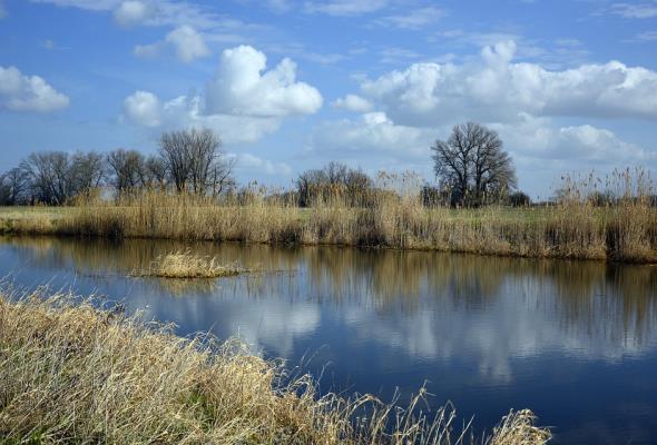 Lubuskie: nowe wały przeciwpowodziowe w Nowej Soli i Krośnie Odrzańskim