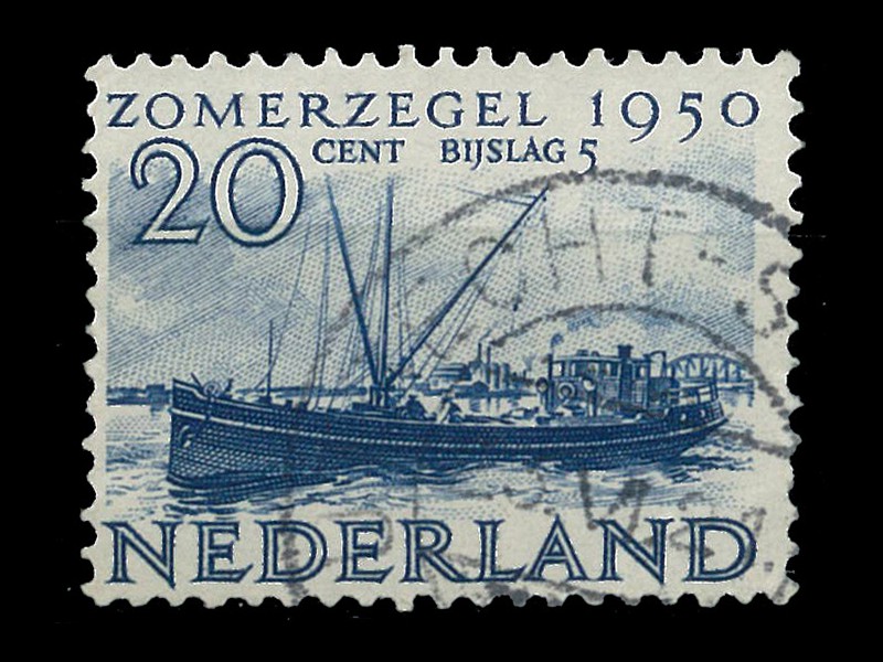 480-Drobnicowiec kanalowy OVERIJSSEL